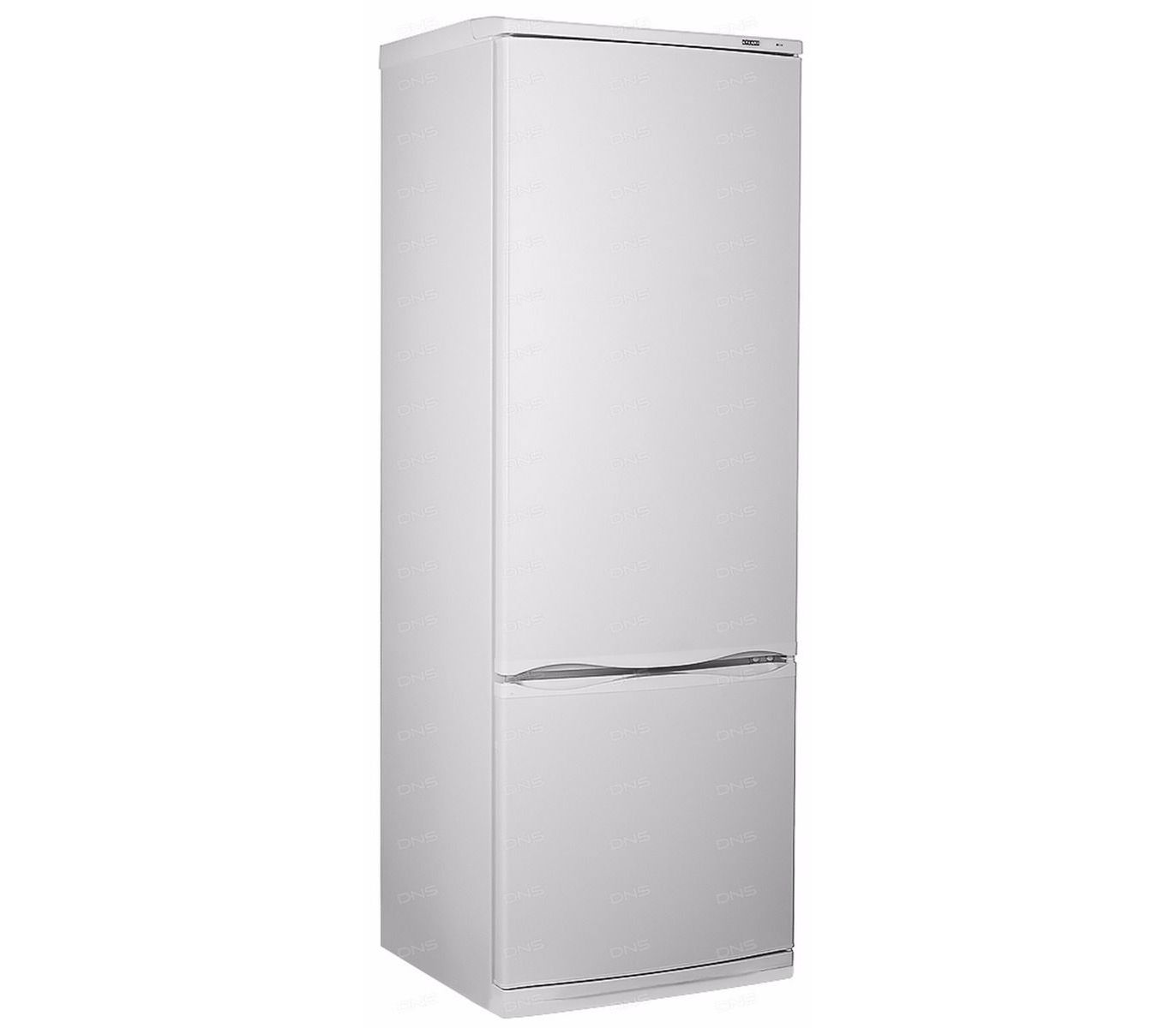 Двухкамерный холодильник lg no frost. Холодильник Hisense RB-438n4fw1. Холодильник Bosfor BRF 185 W NF. Холодильник LG ga-b509psam. Холодильник Bosch kgn39ij22r.